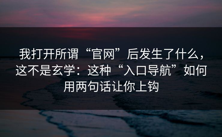 我打开所谓“官网”后发生了什么,这不是玄学:这种“入口导航”如何用两句话让你上钩