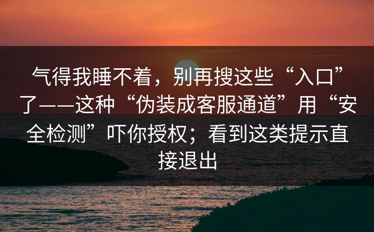 气得我睡不着，别再搜这些“入口”了——这种“伪装成客服通道”用“安全检测”吓你授权；看到这类提示直接退出