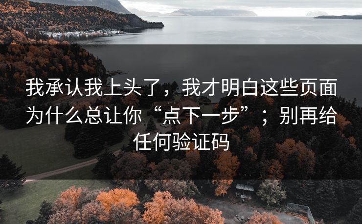 我承认我上头了，我才明白这些页面为什么总让你“点下一步”；别再给任何验证码