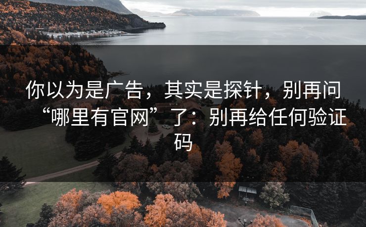 你以为是广告,其实是探针,别再问“哪里有官网”了:别再给任何验证码 你以为是广告,其实是探针,别再问“哪里有官网”了:别再给任何验证码
