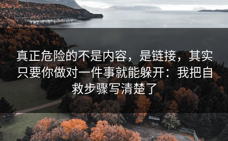 真正危险的不是内容，是链接，其实只要你做对一件事就能躲开：我把自救步骤写清楚了