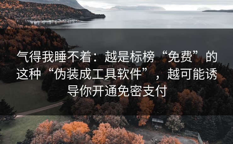 气得我睡不着:越是标榜“免费”的这种“伪装成工具软件”,越可能诱导你开通免密支付 气得我睡不着:越是标榜“免费”的这种“伪装成工具软件”,越可能诱导你开通免密支付